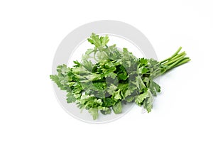 Bunch of fresh parsley with small drops of water Isolated on a white background