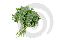 Bunch of fresh parsley on the white background