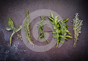 A bunch of fresh picked herbs