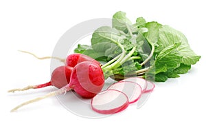 Bunch fresh radish with cut