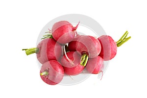 Bunch of fresh radishes with no leaves.