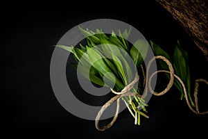 Bunch of fresh ramson on black wooden textured background. photo