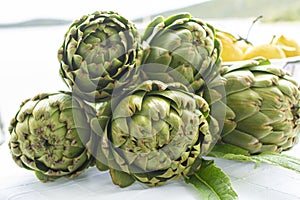 Bunch of fresh raw artichokes heads from artichoke plantation in Argolida, Greece ready to cook with lemon