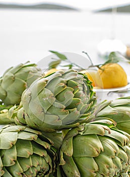 Bunch of fresh raw artichokes heads from artichoke plantation in Argolida, Greece ready to cook with lemon