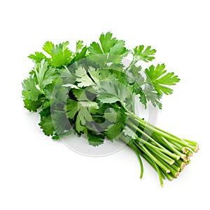 Bunch of fresh raw parsley ingredient for cooking with white background Generative AI Illustration