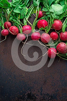 Bunch of Fresh Raw Ripe Red Radishes with Green Leaves Arranged as Upper Border on Dark Rusty Background. Top View Flat Lay.