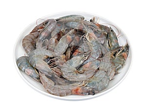 Bunch of fresh raw shrimp on a round plate isolated