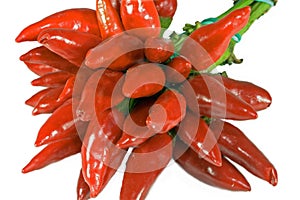 Bunch of fresh red chillies