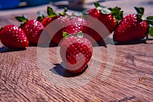 Bunch of fresh red strawberries drying on a wooden surface