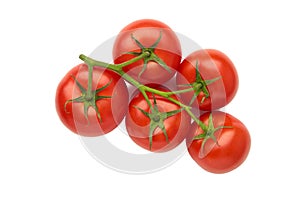 Bunch of fresh red tomatoes with green stems isolated on white background