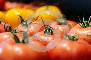 Bunch of fresh red and yellow tomatoes in grocery. Close-up of organic healthful food in supermarket. Assortment