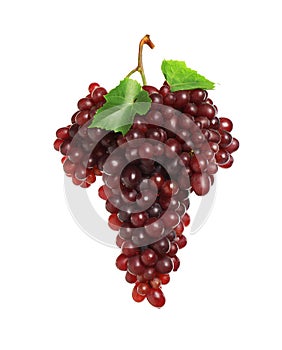 Bunch of fresh ripe juicy red grapes with leaves isolated on white