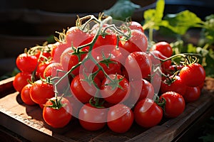 A bunch of fresh and ripe tomatoes. Generative AI