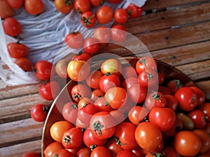 Bunch of Fresh Ripe Tomatoes on Gold Plate Over Bamboo Background, Suitable for Dieting, Salad Ingredient, and at the Kitchen