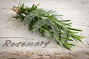 Bunch of fresh rosemary