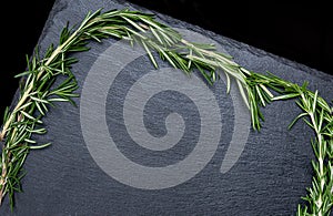 Bunch of fresh rosemary on a black slate, stone or concrete background.