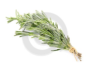 Bunch of fresh rosemary on white background