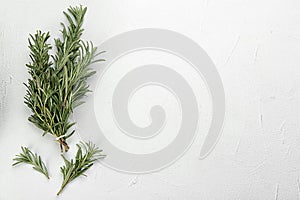 Bunch of fresh rosemary on white, flat lay. Space for text