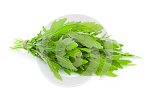 Bunch of fresh Ruccola leaves / rocket salad / isolated on w
