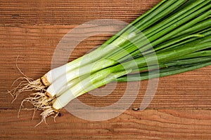 Bunch of fresh scallions