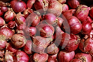 a bunch of fresh shallots