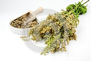 Bunch of fresh sorrel and dried sorrel in a bowl