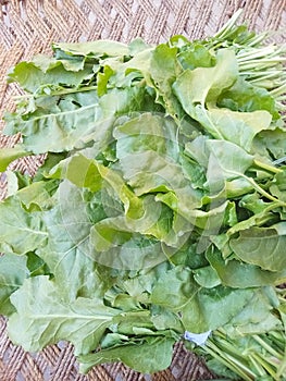 Bunch of fresh spinach. Can b used for salid, decoration