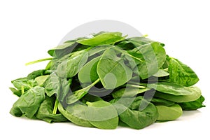 Bunch of fresh spinach leaves
