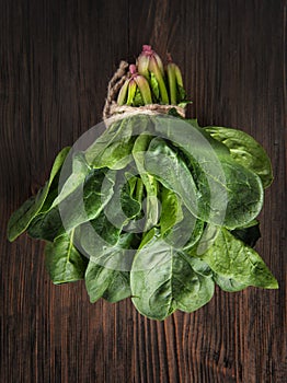 Bunch of fresh spinach with roots