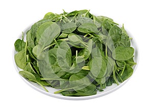 Bunch of fresh spring spinach leaves on a round plate