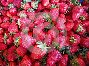 bunch of fresh strawberries