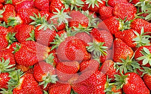 Bunch of fresh strawberries