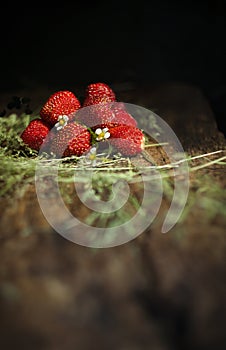 A bunch of fresh strawberries on wooden table