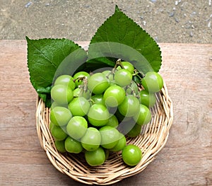 Bunch of fresh Sweet Green Shine Muscat (Vitis vinifera) grape and leaf in Bamboo basket on wooden table in garden .