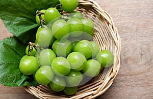 Bunch of fresh Sweet Green Shine Muscat (Vitis vinifera) grape and leaf in Bamboo basket on wooden table in garden .