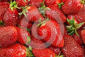 Bunch of fresh sweet strawberries close up