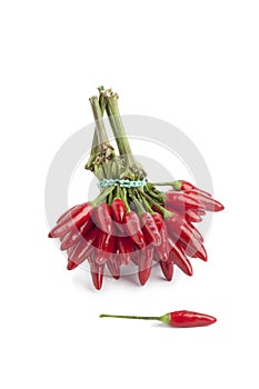 Bunch of fresh tabasco peppers