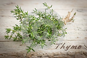 Bunch of fresh thyme