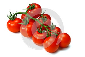 Bunch of fresh tomatoes