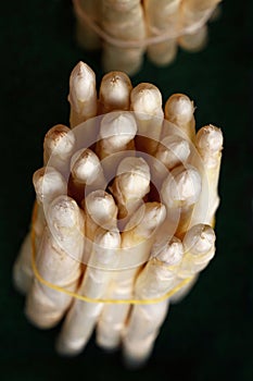 Bunch of fresh white asparagus shoots close up