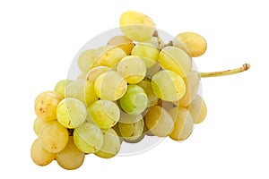 Bunch of fresh white grapes
