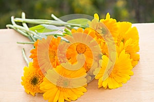 Bunch of  fresh yellow flowers on a wooden board. Nature backgro