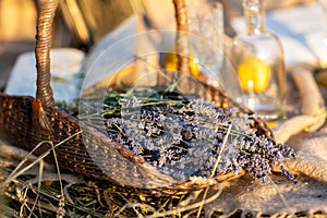 Bunch of freshly cut lavender in a basket