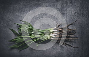 Bunch of Freshly Harvested Salsify on Scratchy Background