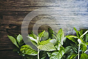 Bunch of freshly picked aromatic mint