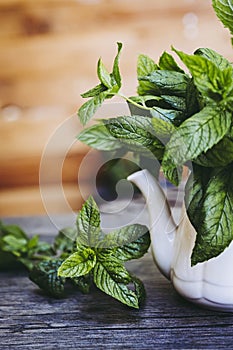 Bunch of freshly picked aromatic mint