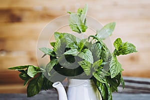 Bunch of freshly picked aromatic mint