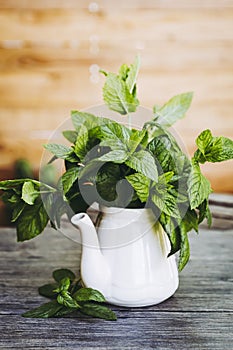 Bunch of freshly picked aromatic mint