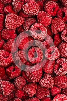 Bunch of frozen raspberries close up