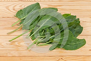 Bunch of the garden sorrel leaves on a rustic table